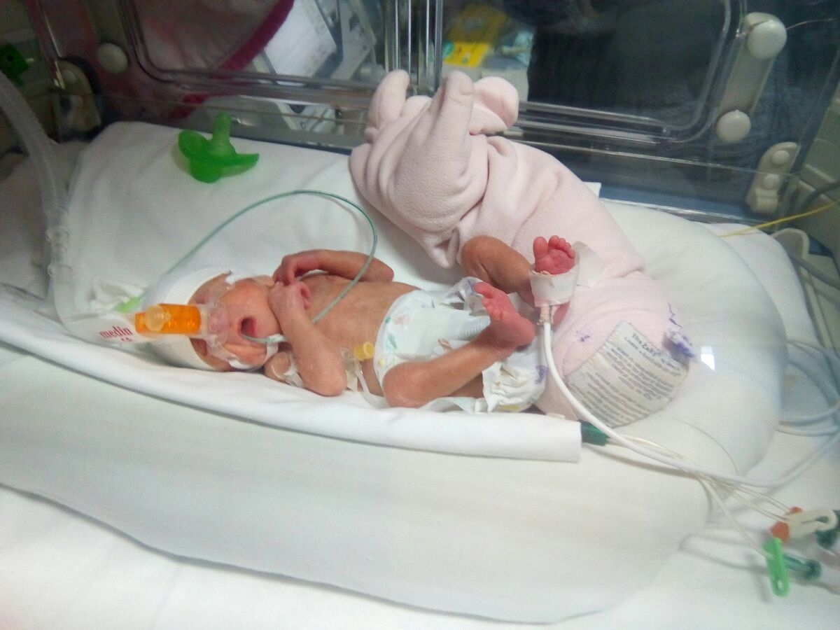 ^E8D24DD3264D0A8522743B9B0E22625C9859C3FED75B9E4A14^pimgpsh_fullsize_distr